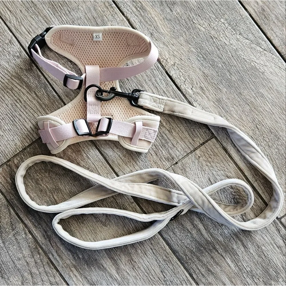 Cocopup Luxe Velvet Adjustable Neck Harness and Leash Set - Champagne Size XS